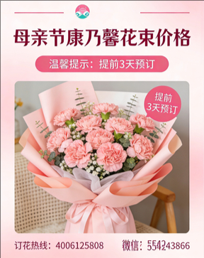 延边花店母亲节康乃馨花束