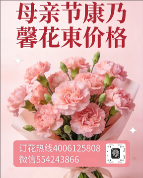 延边花店母亲节康乃馨花束
